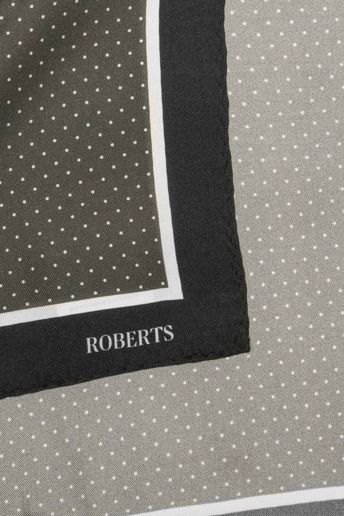 Pañuelo De Bolsillo De Seda Cafe image number 2